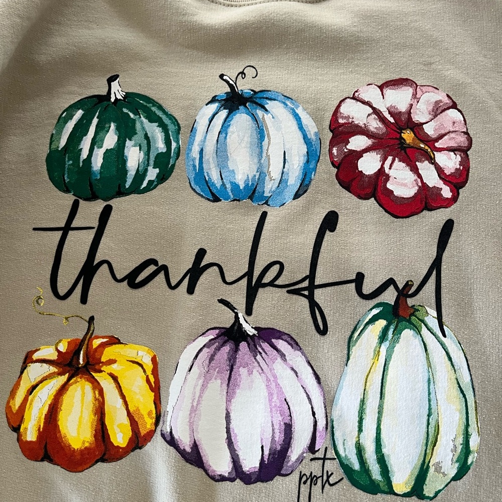 Gildan Cream Heavy Blend “Thankful” Pumpkin Sweatshirt